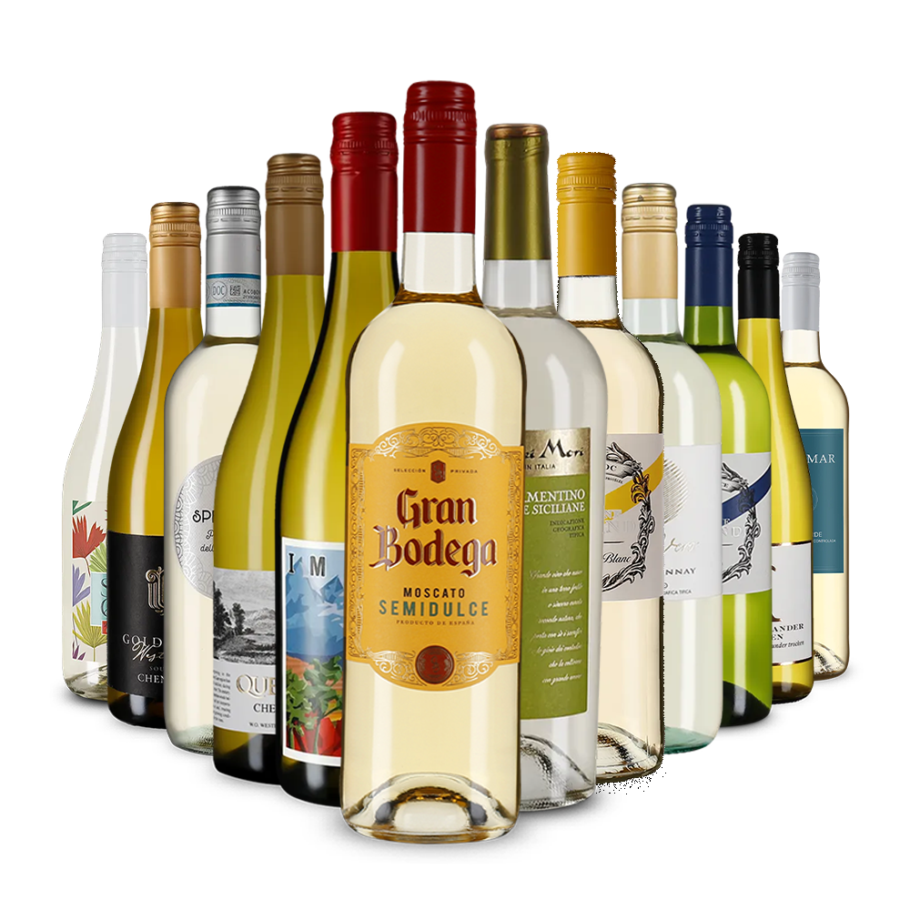 La variété du vin blanc dans un assortiment découverte