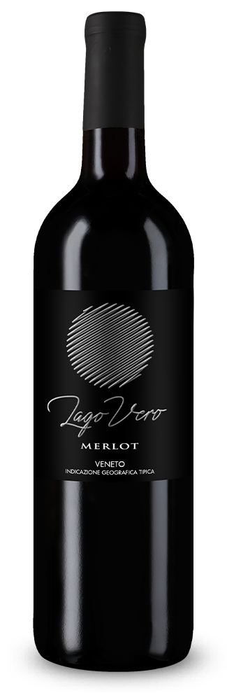 Merlot Veneto 2024 – Gold
