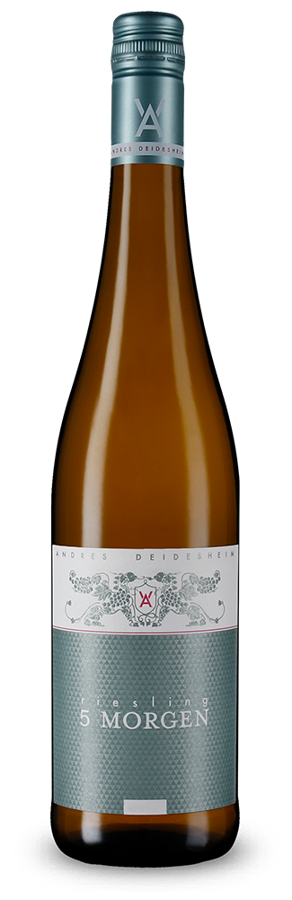 Riesling 5 Morgen sec 2024 – Gold