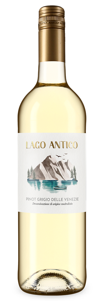 Pinot Grigio delle Venezie 2024 – Gold
