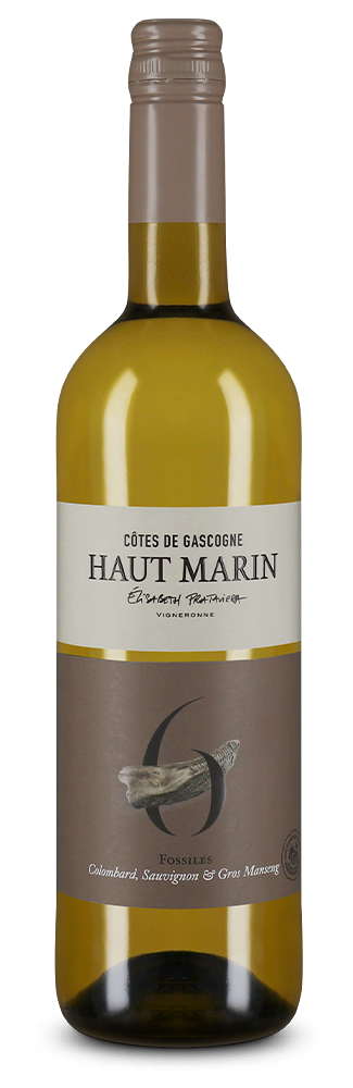 Côtes de Gascogne Blanc N° 6 Fossiles 2024 – Gold