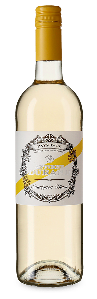 Sauvignon Blanc 2024 – Gold