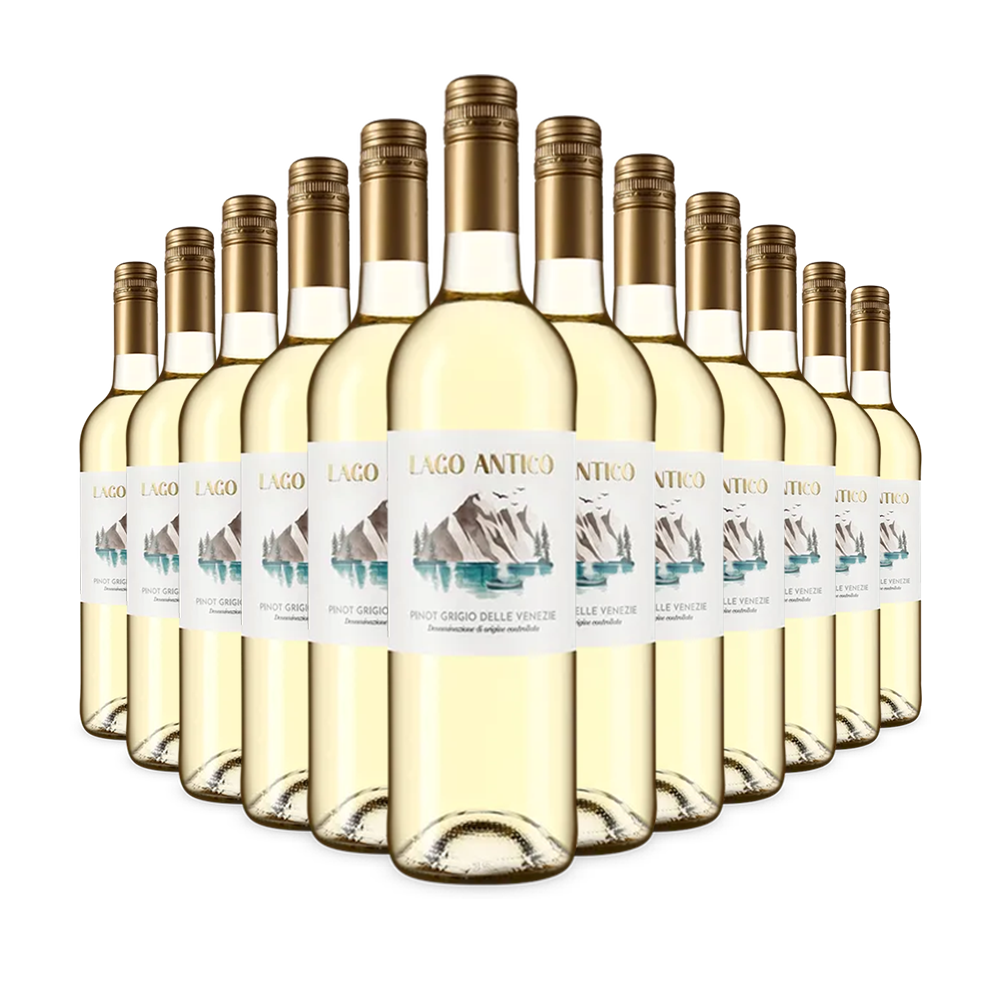 12 bouteilles Pinot Grigio delle Venezie 2024 – Gold