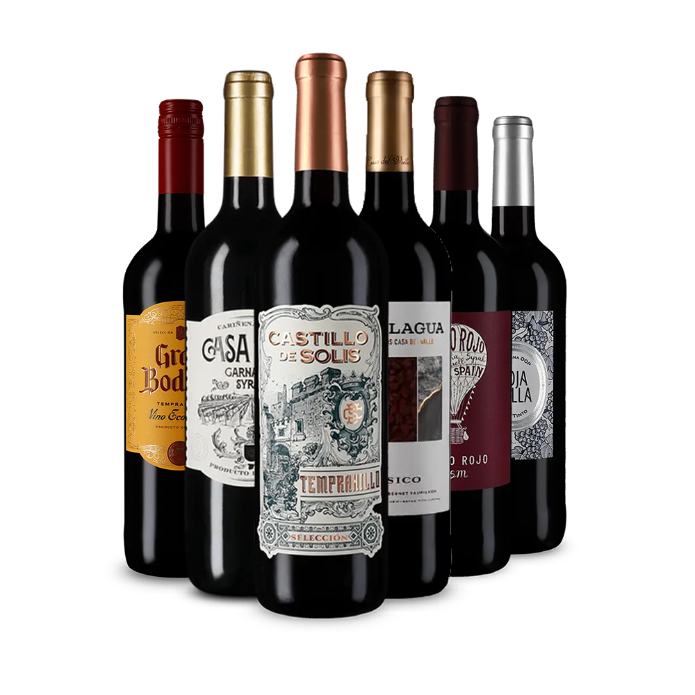 Assortiment découverte de vins rougs au tempérament espagnol