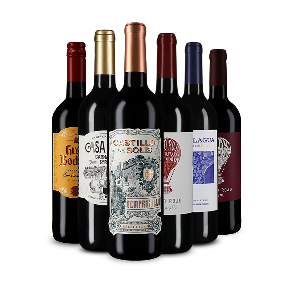 Assortiment découverte de vins rougs au tempérament espagnol