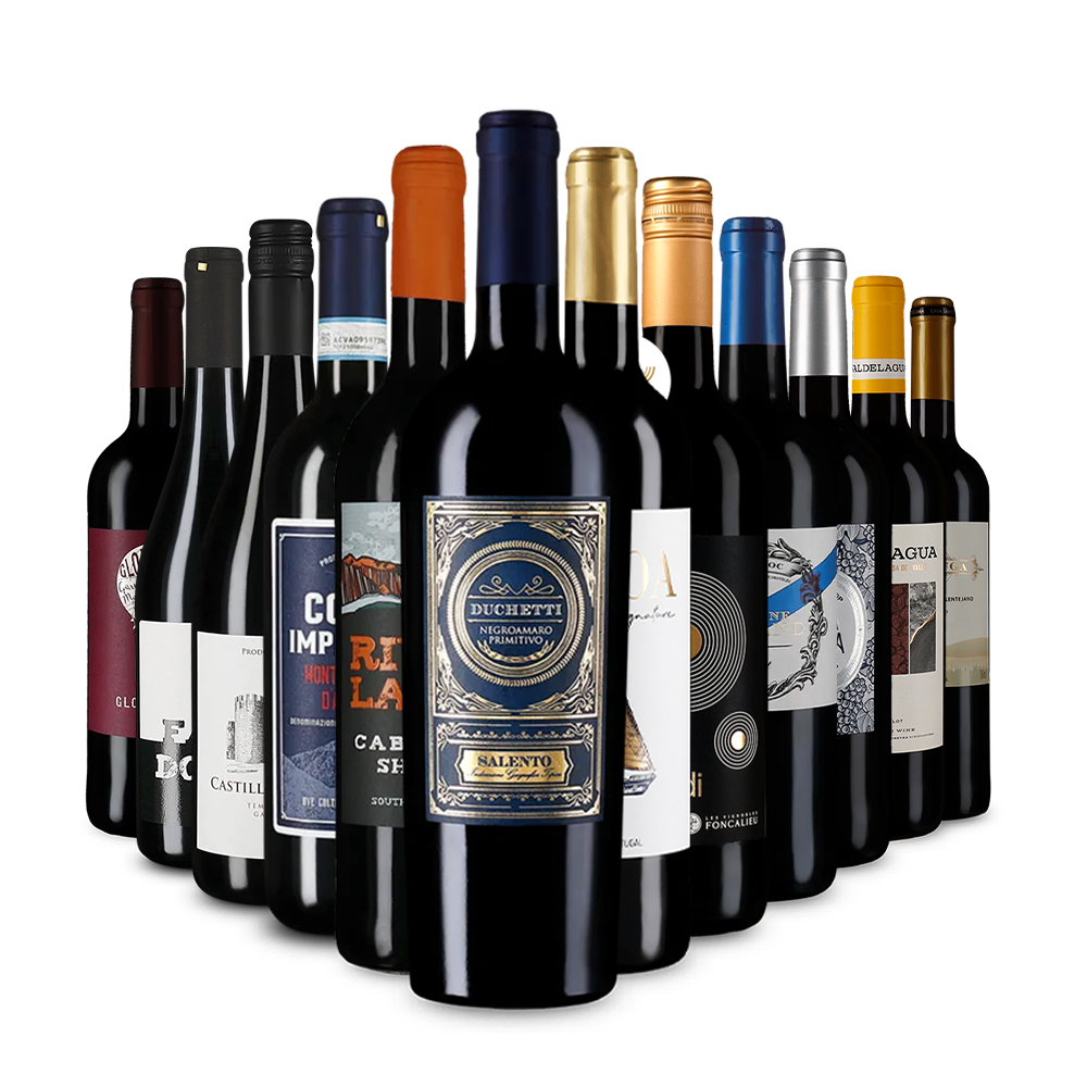 Recommandations vin rouge en assortiment découverte