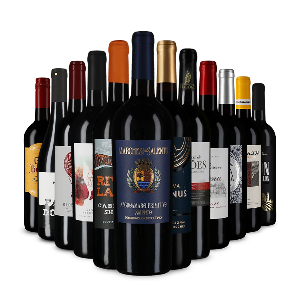 Recommandations vin rouge en assortiment découverte