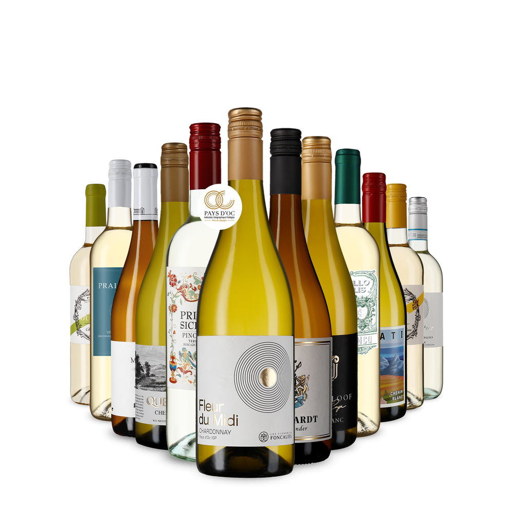 La variété du vin blanc dans un assortiment découverte