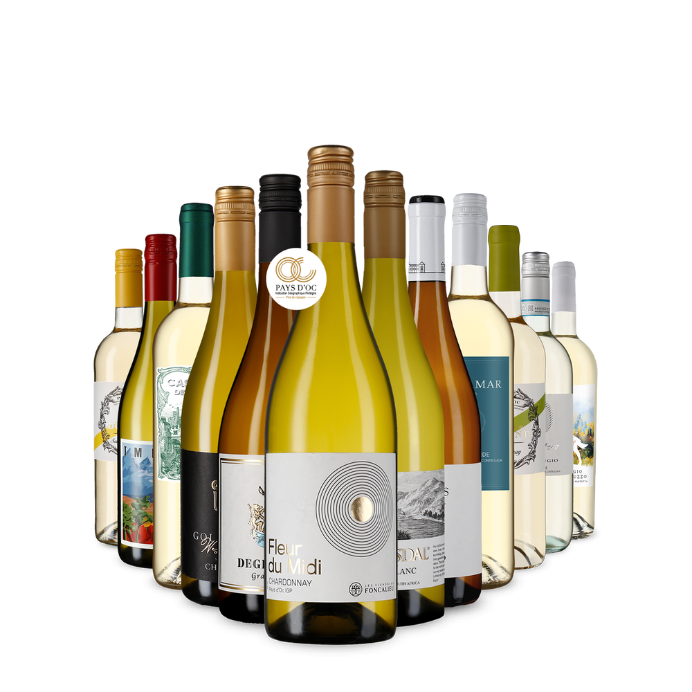 La variété du vin blanc dans un assortiment découverte