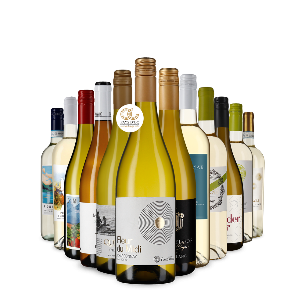 La variété du vin blanc dans un assortiment découverte