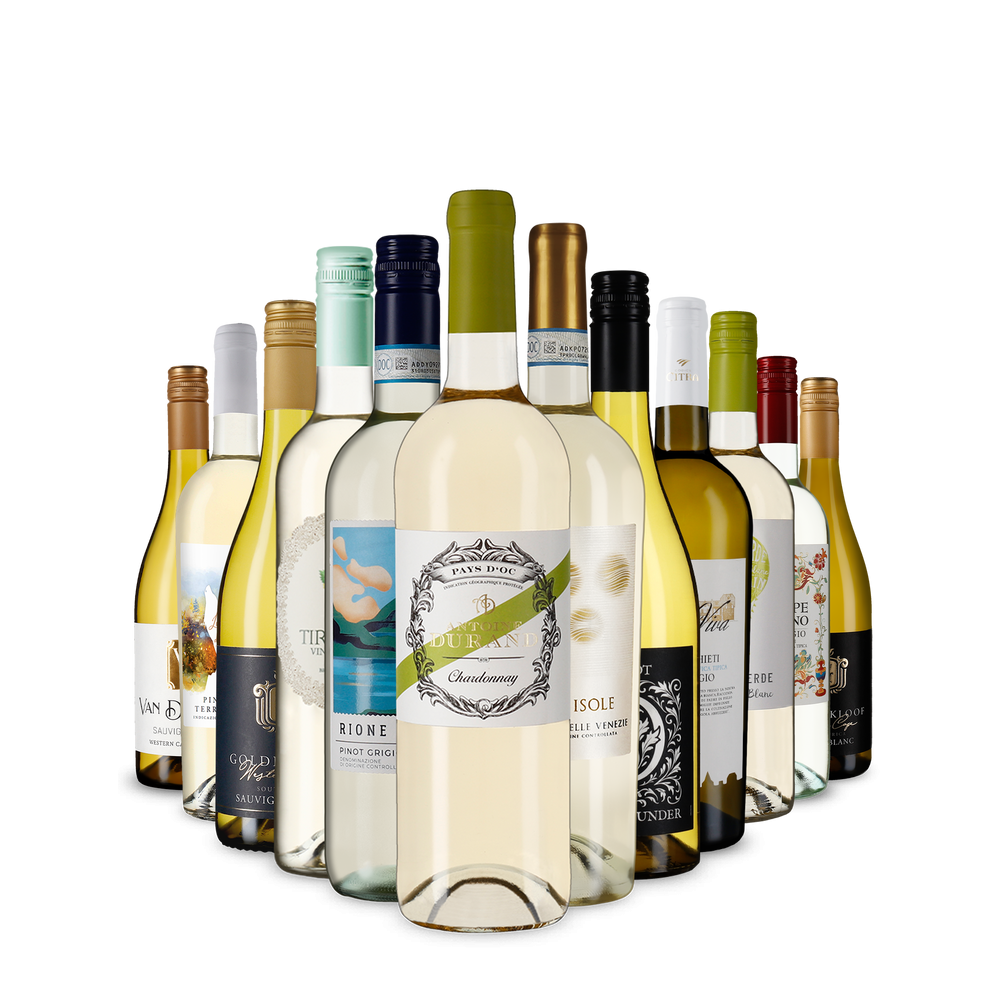 La variété du vin blanc dans un assortiment découverte