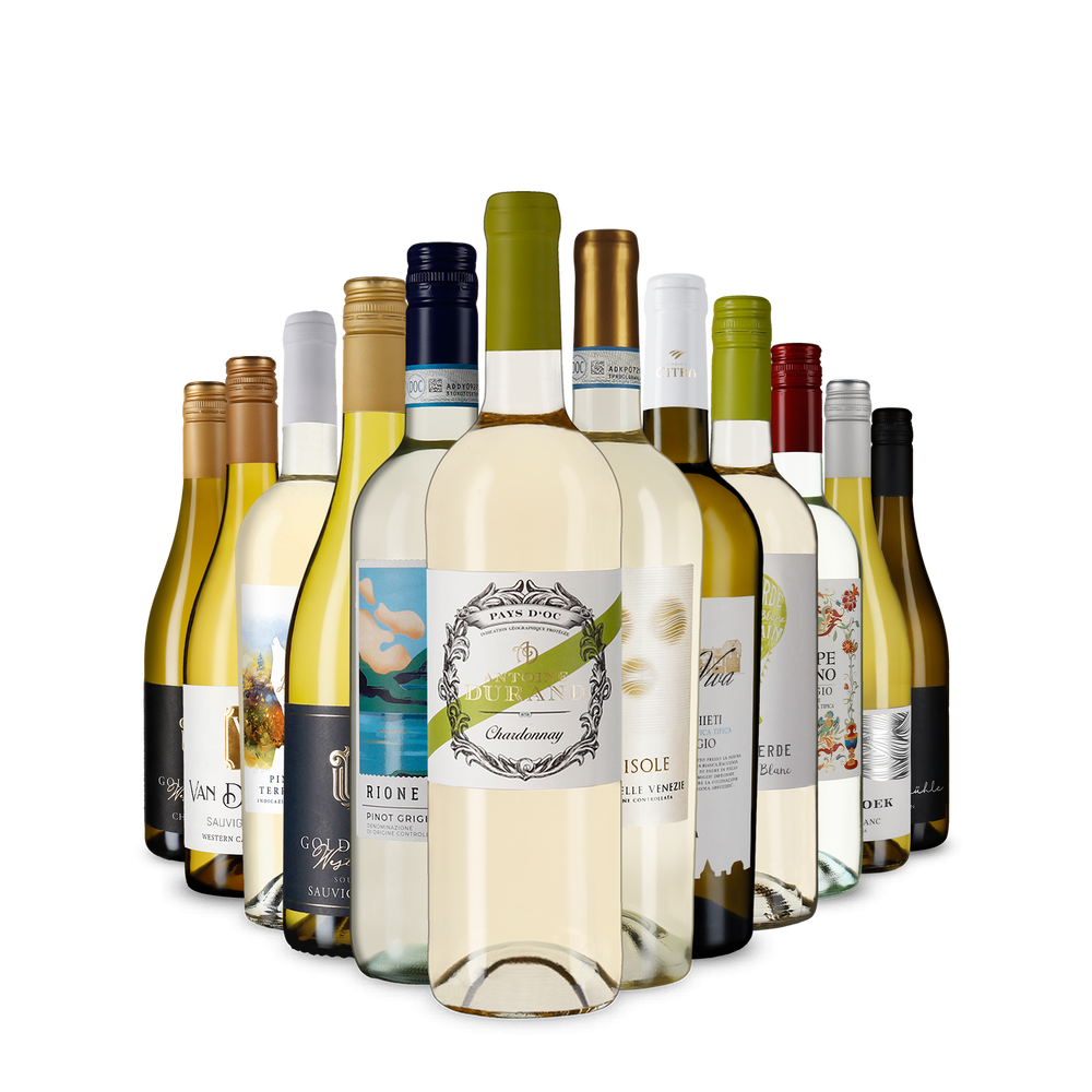 La variété du vin blanc dans un assortiment découverte