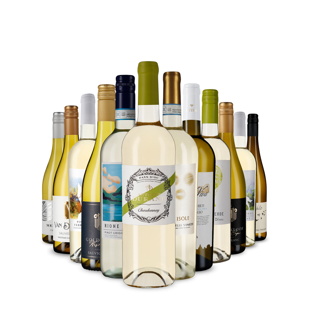 La variété du vin blanc dans un assortiment découverte