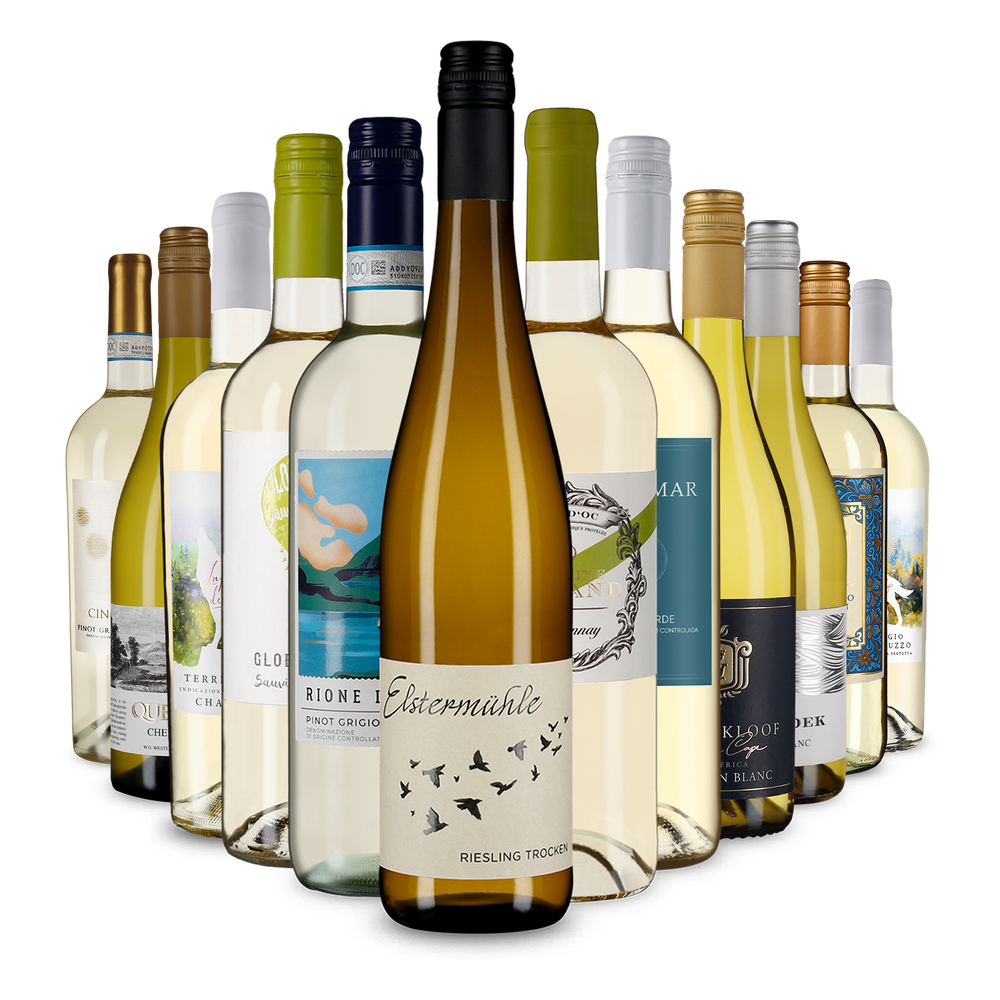 La variété du vin blanc dans un assortiment découverte