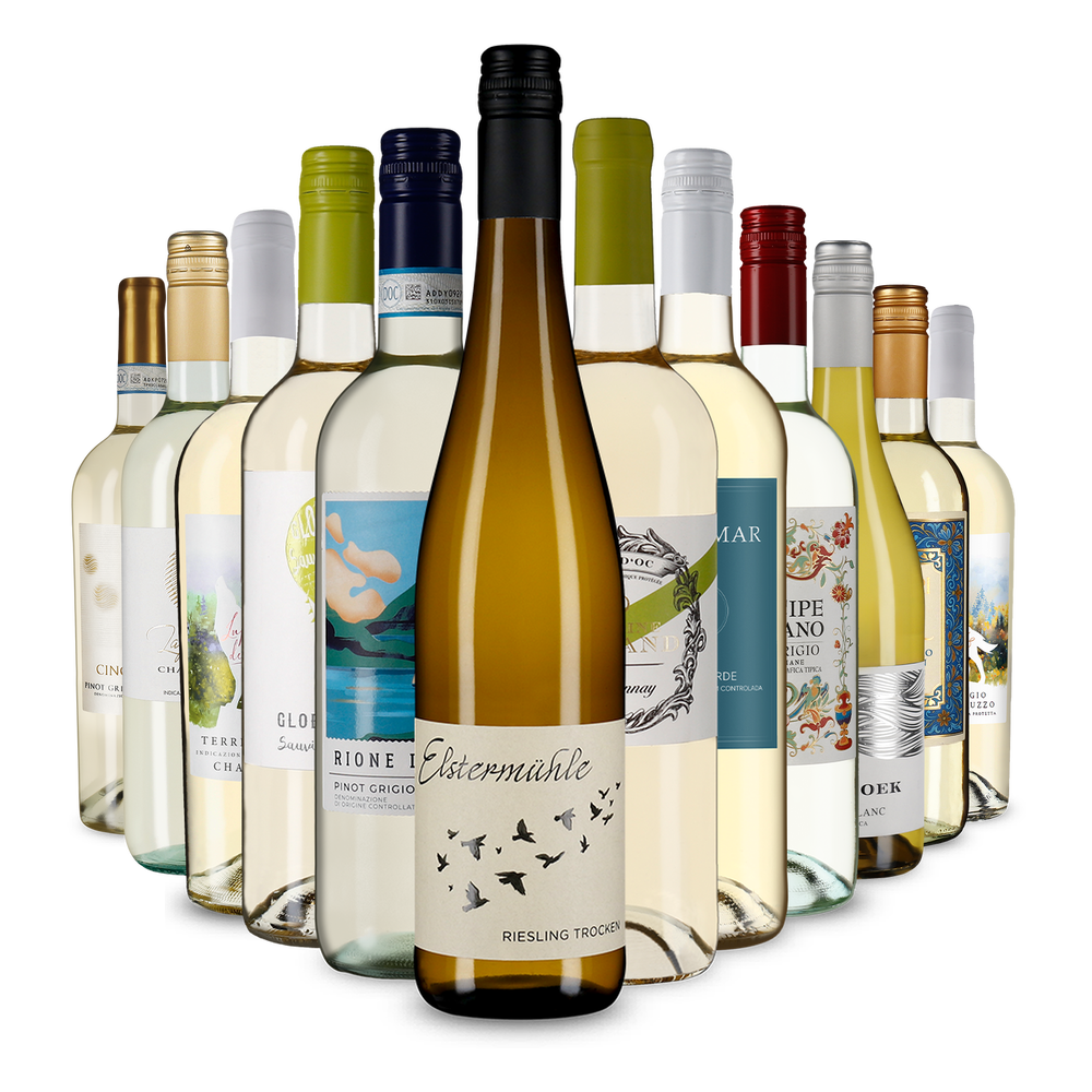 La variété du vin blanc dans un assortiment découverte