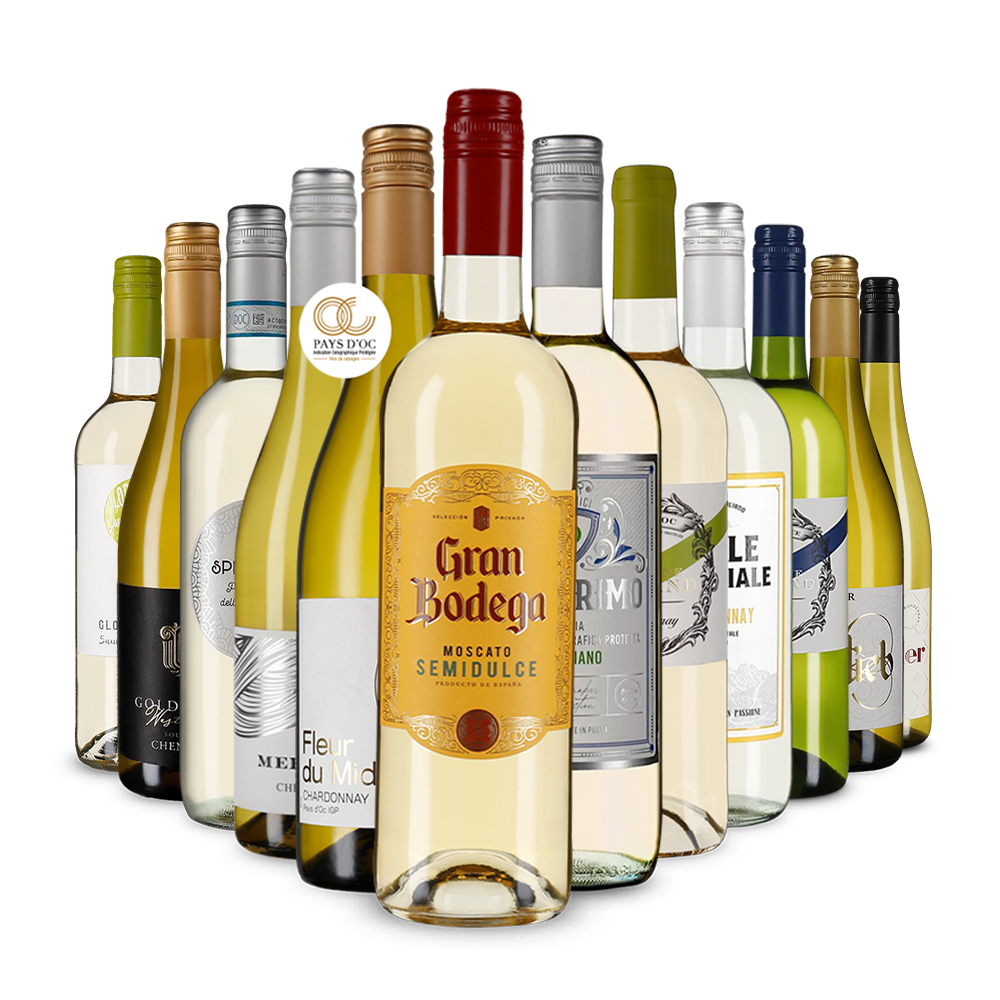 La variété du vin blanc dans un assortiment découverte