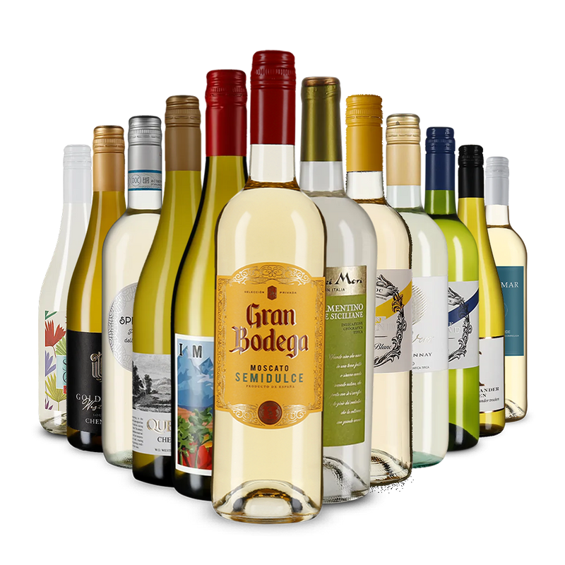 La variété du vin blanc dans un assortiment découverte