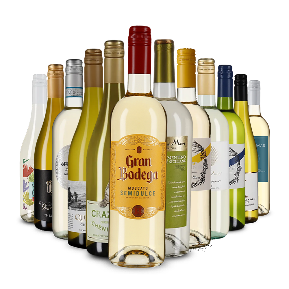 La variété du vin blanc dans un assortiment découverte