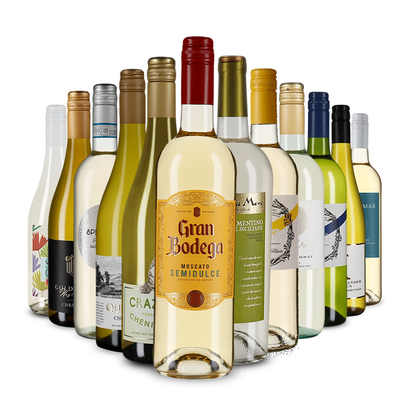 La variété du vin blanc dans un assortiment découverte