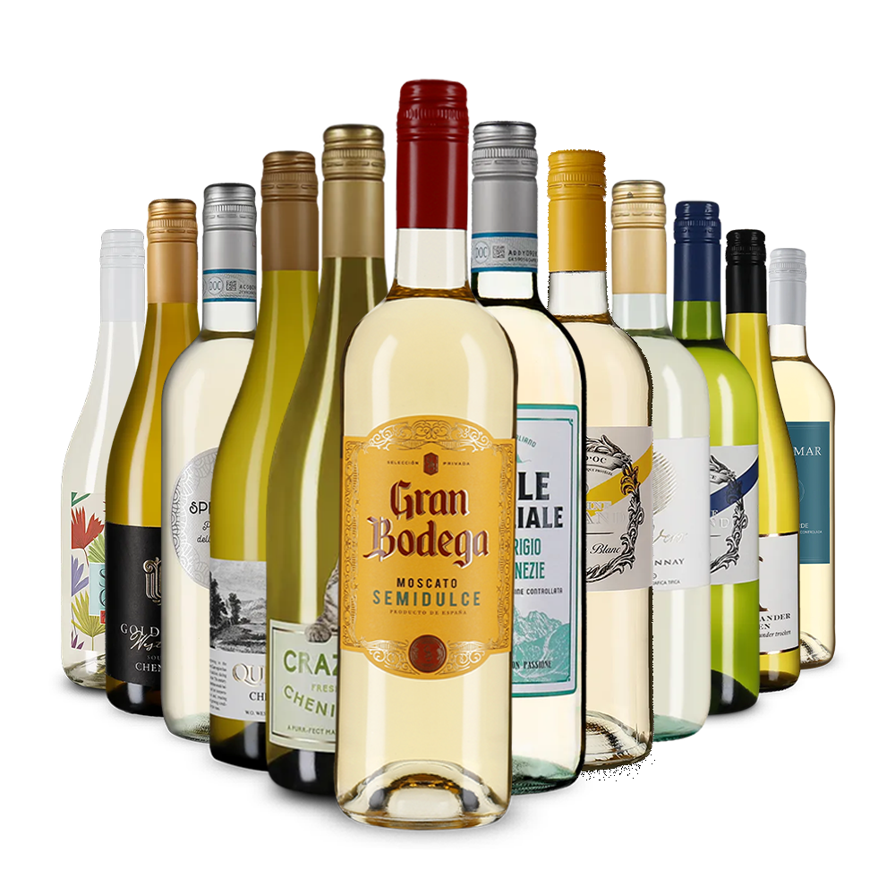 La variété du vin blanc dans un assortiment découverte