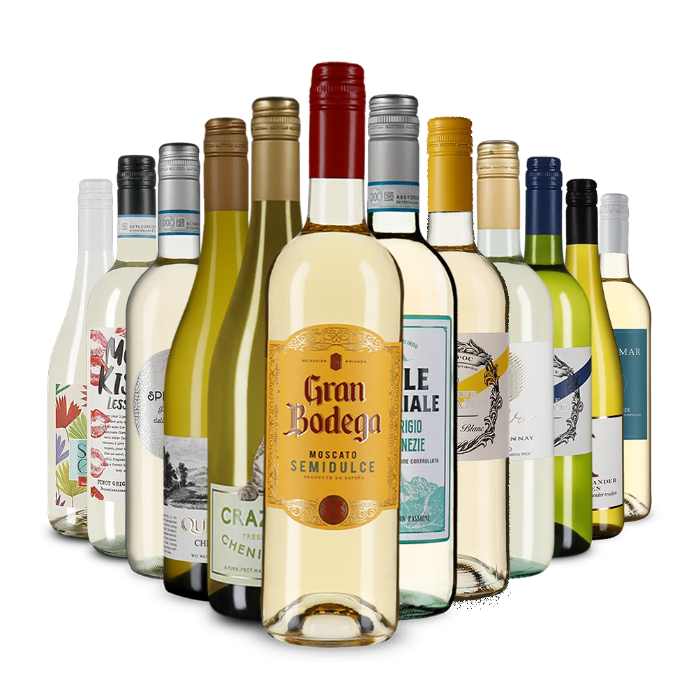 La variété du vin blanc dans un assortiment découverte