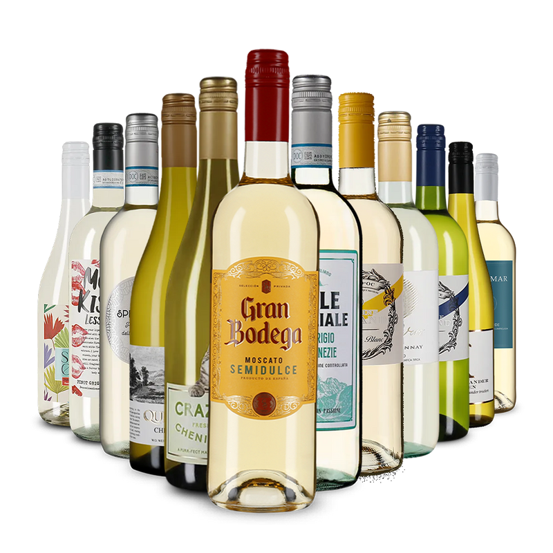 La variété du vin blanc dans un assortiment découverte