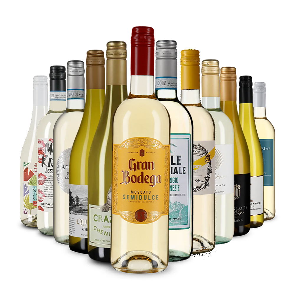 La variété du vin blanc dans un assortiment découverte