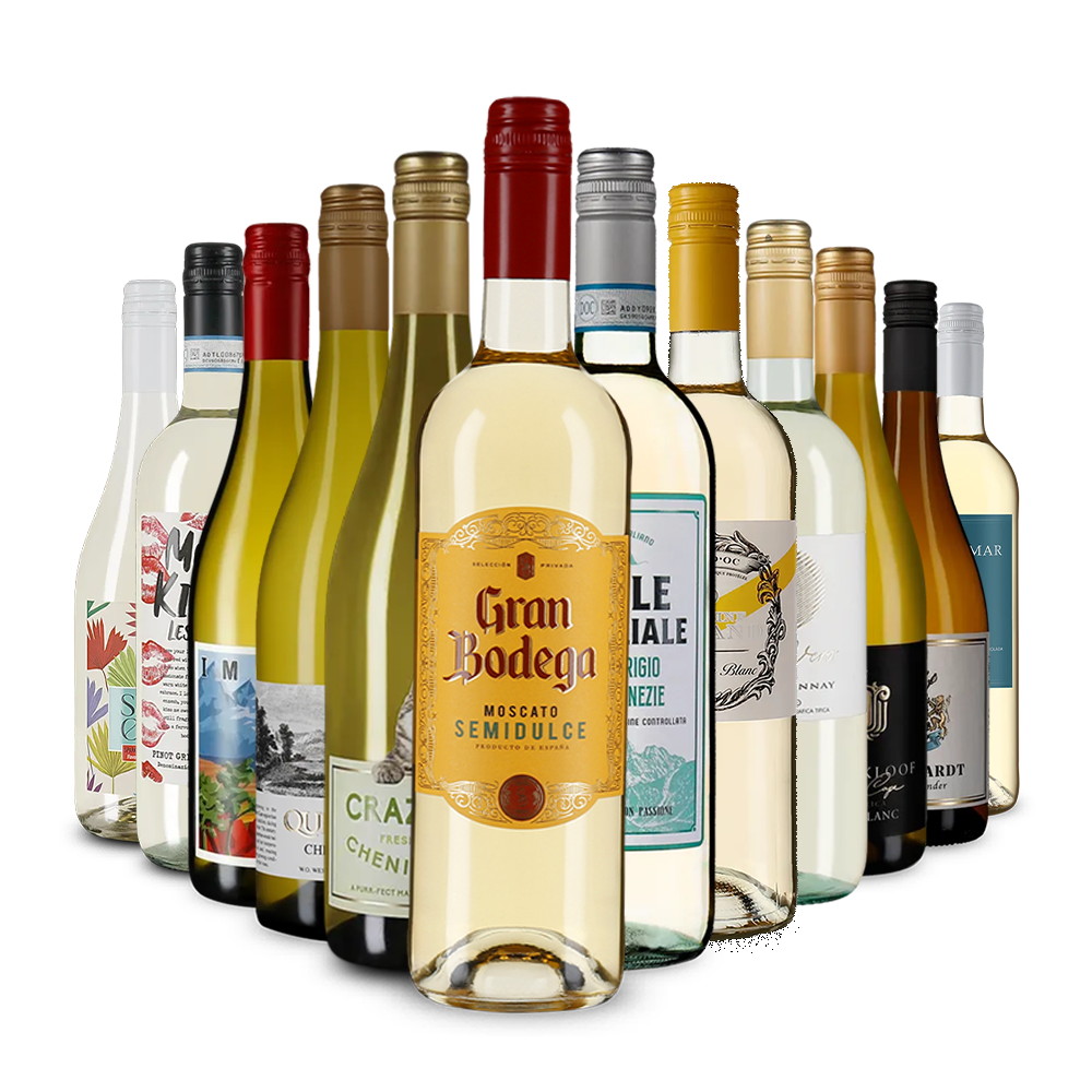 La variété du vin blanc dans un assortiment découverte