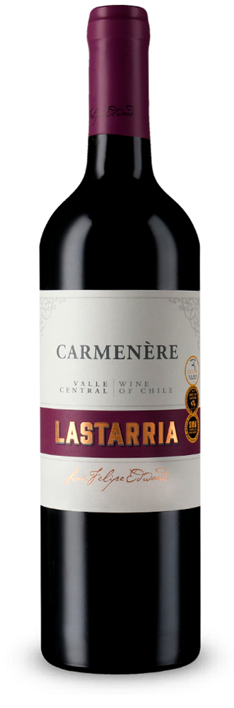 Luis Felipe Edwards Lastarria Carmenère 2021