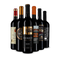 Vin rouge international : l'assortiment en or