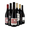 Vin rouge international : l'assortiment en or – Gold