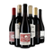 Vin rouge international : l'assortiment en or