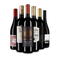 Vin rouge international : l'assortiment en or
