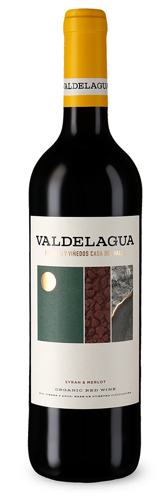 Casa del Valle Valdelagua Syrah & Merlot Bio 2023