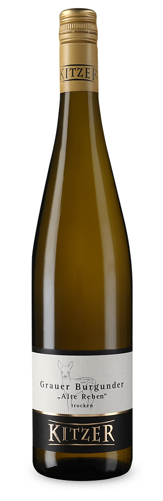 Kitzer Pinot Gris vieilles vignes sec 2023 – Gold