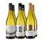 Sauvignon Blanc : nos vins phares dans un assortiment premium – Gold