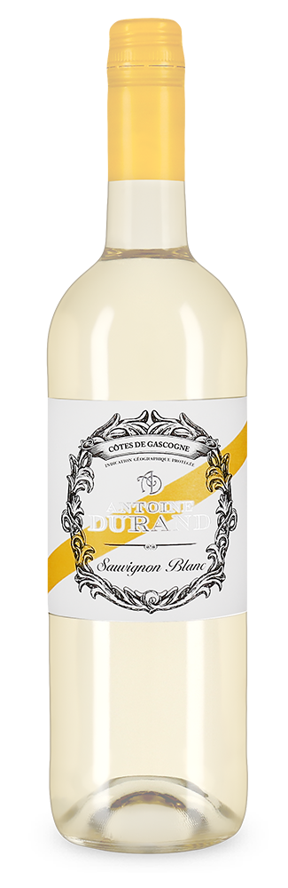 Antoine Durand Sauvignon Blanc 2023 – Gold