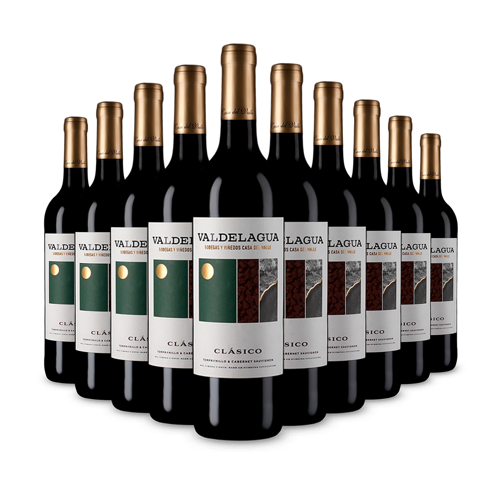 10 bouteilles Valdelagua Clásico Tinto 2023 – Gold