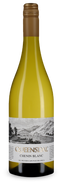 Queensdal Chenin Blanc 2024 – Vin de l'année – Gold