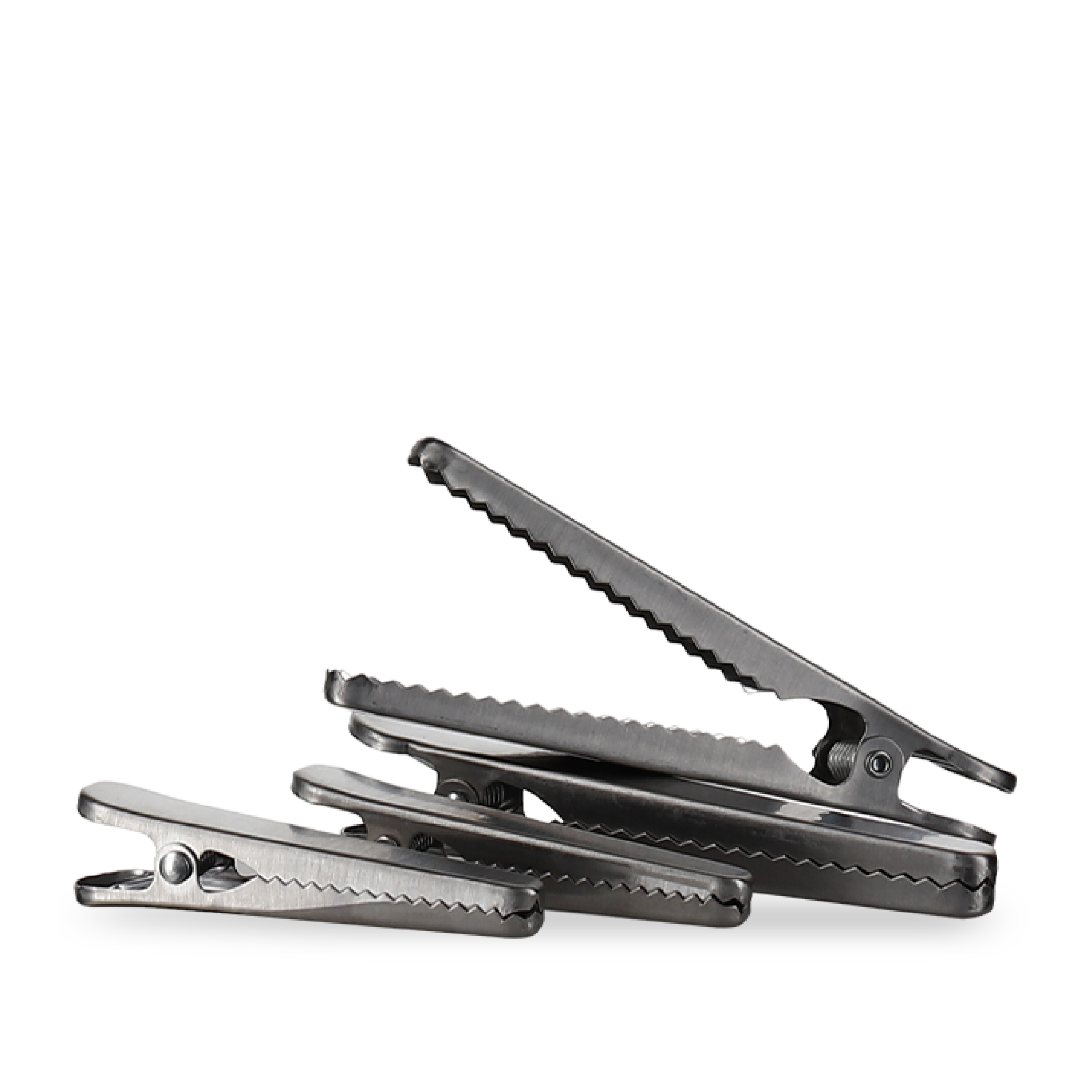 Lot de 4 clips de fermeture Vinroyal en acier inoxydable en deux tailles