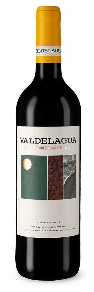 Casa del Valle Valdelagua Syrah & Merlot 2024 – Gold