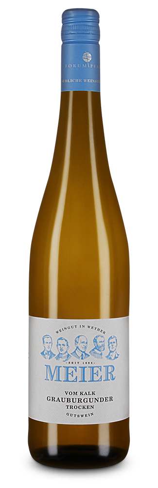 Meier Pinot Gris vom Kalk sec 2024 – Gold
