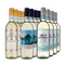 Pinot Grigio XXL : vins phares médaillés d’or en assortiment 3x4 – Gold