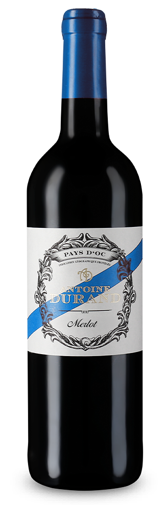 Antoine Durand Merlot 2024
