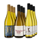 Pinots gris phares médaillés d’or en assortiment 3x3 – Gold