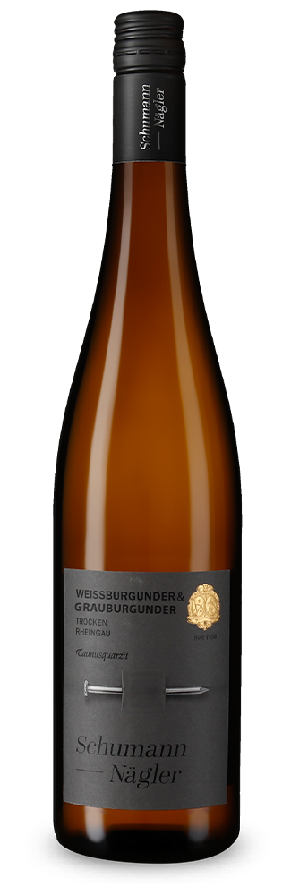 Pinot blanc et gris Taunusquarzit sec 2025