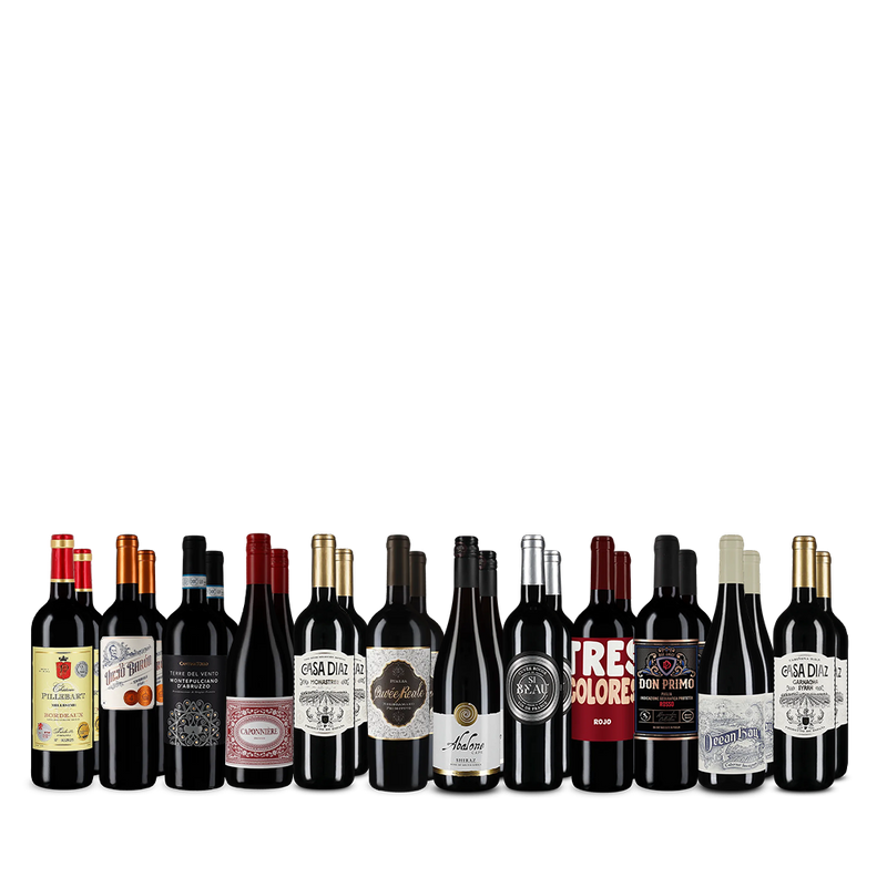 Vin rouge XXL : vins phares en assortiment 12x2 – Gold