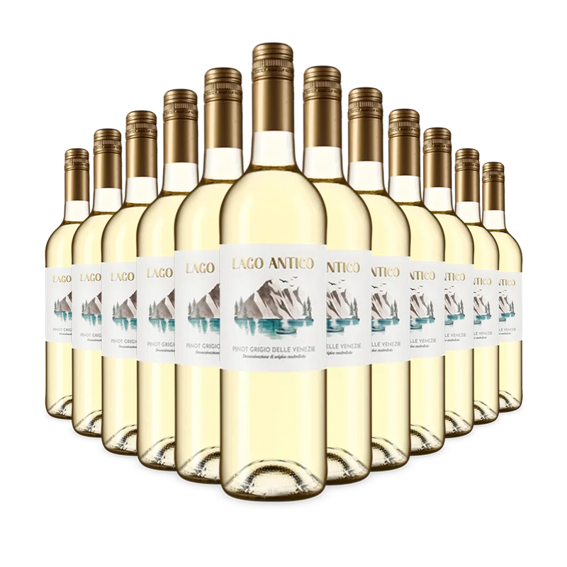 12 bouteilles Pinot Grigio delle Venezie 2024 – Gold