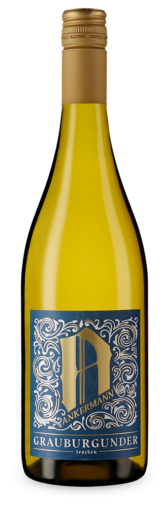 Pinot gris sec 2025