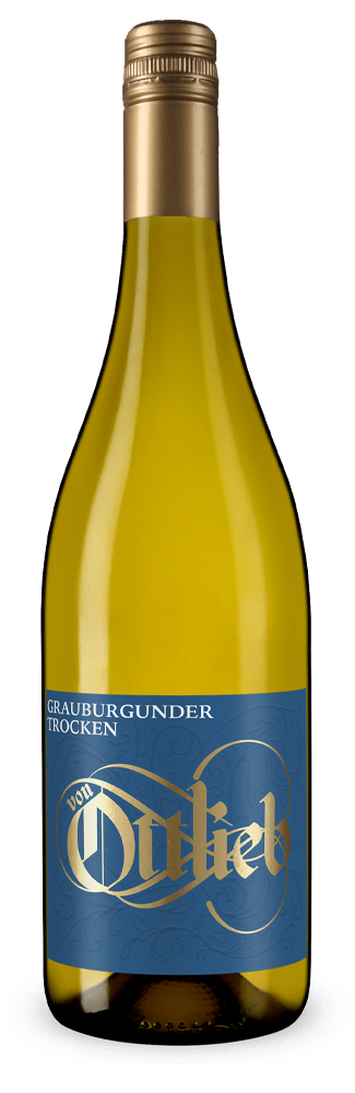 Pinot gris sec 2025